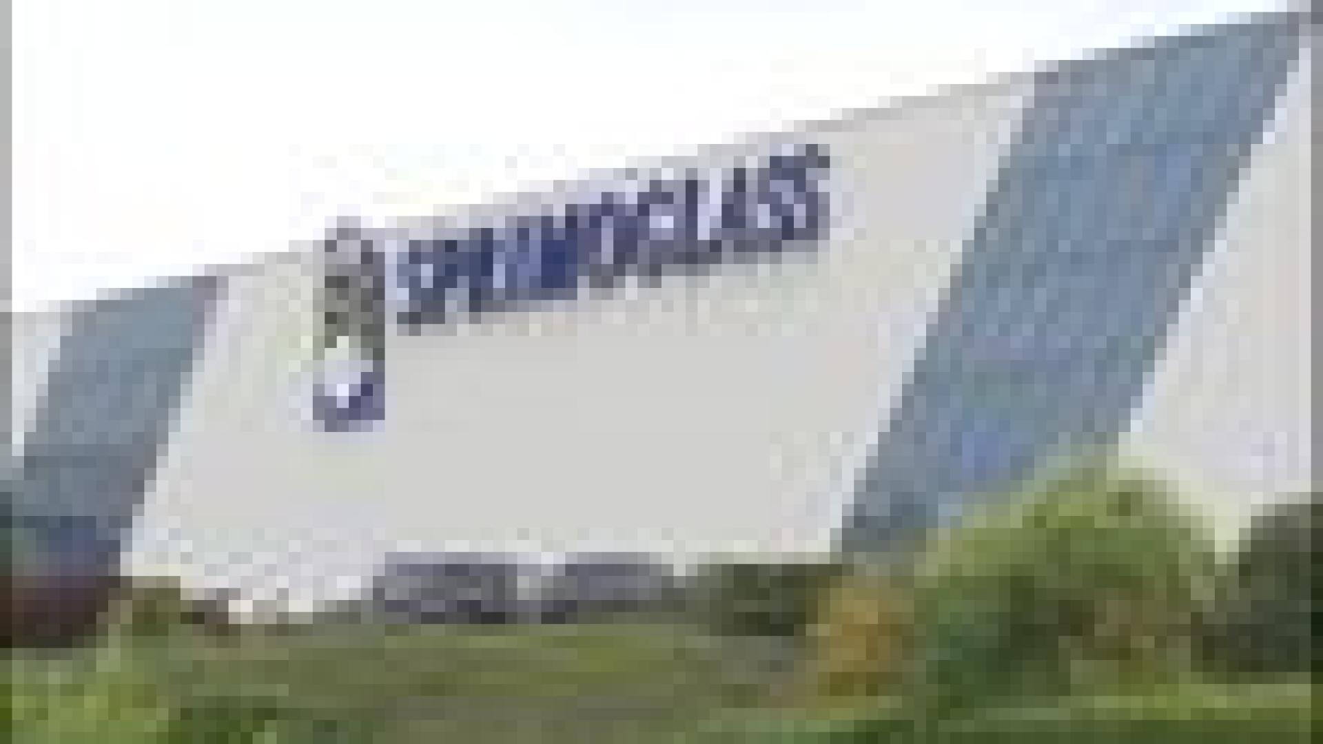 Sprimoglass : délégué licencié